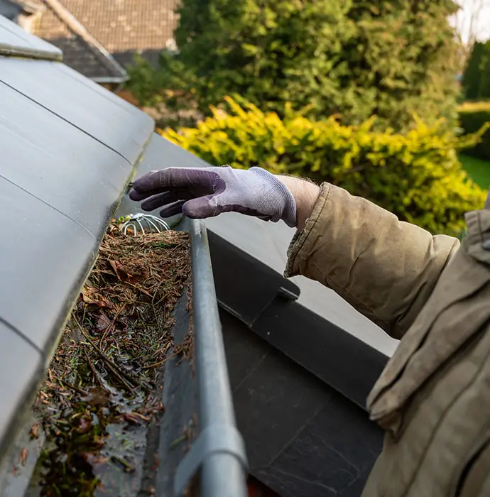 Gutter Cleaning
