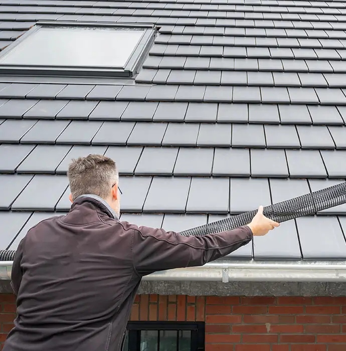 Gutter Mesh