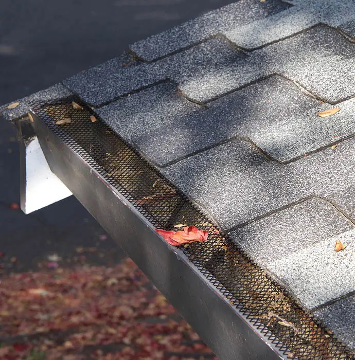 Rain Gutter Leaf Guard