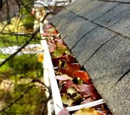Gutter Cleaning