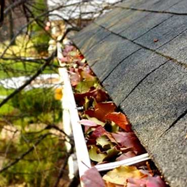 Gutter Cleaning