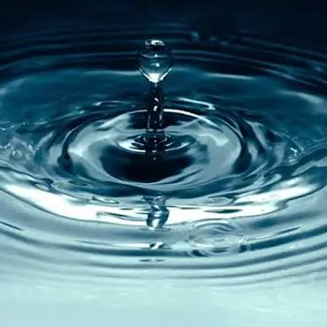 Leaks