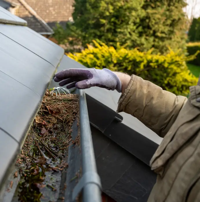 Gutter Cleaning