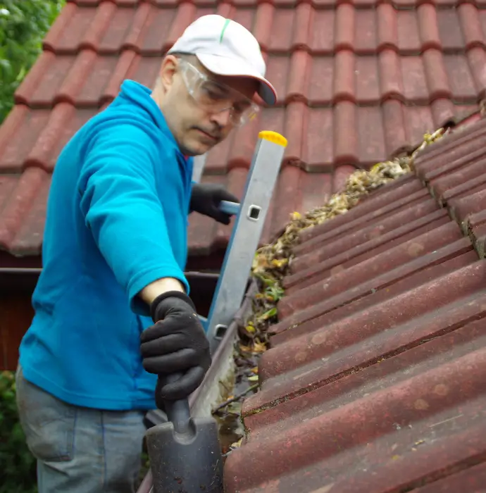 Gutter Cleaning