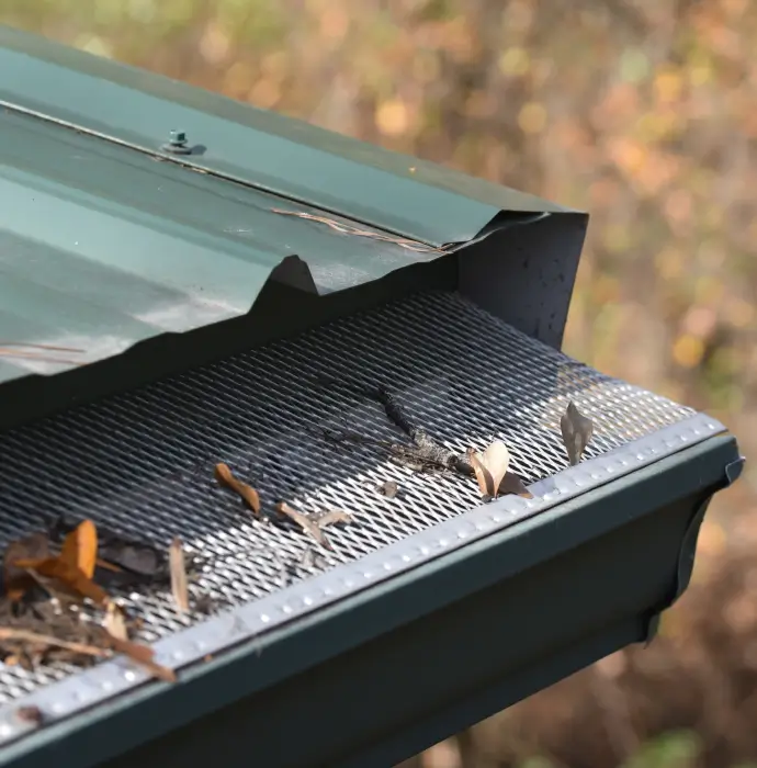 Leaf Gutter Guard